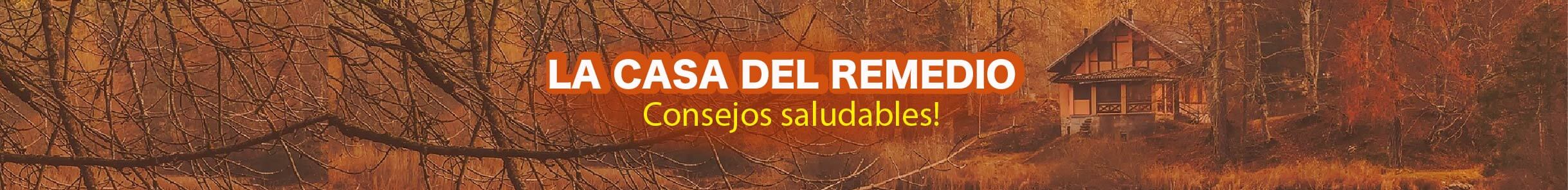 La Casa Del Remedio